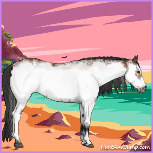 Horse Color:White Spotted Bay Frame 