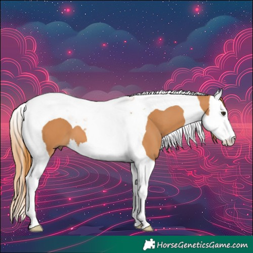 Horse Color:Chestnut Splash Tobiano 