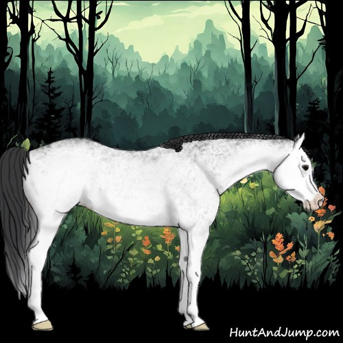 Horse Color:White Spotted Black Splash 