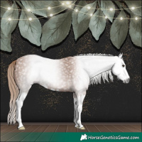 Horse Color:Gray Chestnut Splash 
