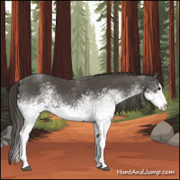 Horse Color:White Spotted Smoky Black Sabino Splash