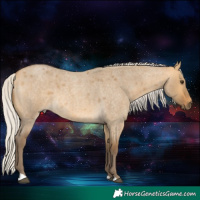 Horse Color:Silver Buckskin Roan Dun 