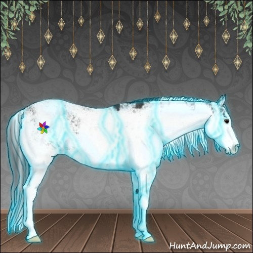 Horse Color:Thunderstruck Black Sabino 