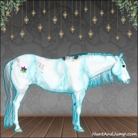 Horse Color:Thunderstruck Black Sabino 