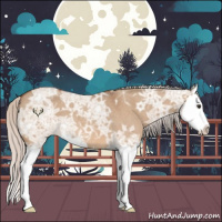 Horse Color:Silver Bay Ice Roan Dun Sabino Splash 