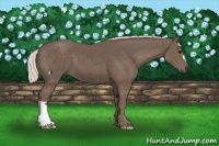 Horse Color:Silver Black 