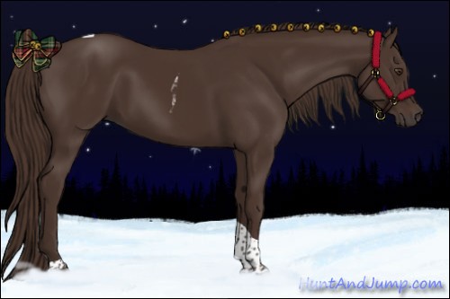 Horse Color:Liver Chestnut Tobiano 