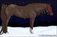 Horse Color:Liver Chestnut Tobiano 