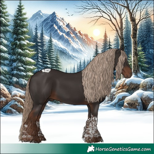 Horse Color:Liver Chestnut Tobiano