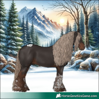 Horse Color:Liver Chestnut Tobiano 