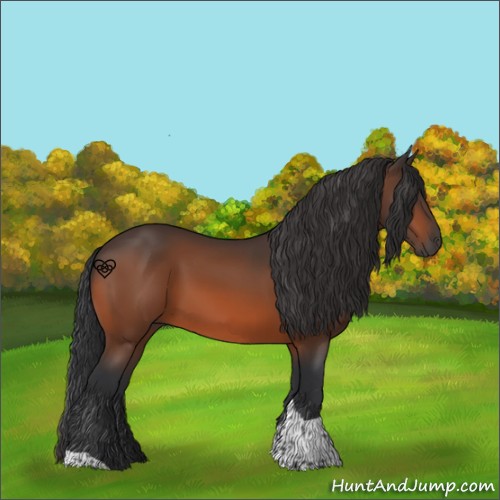 Horse Color:Bay Tobiano 