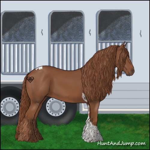 Horse Color:Chestnut Tobiano 