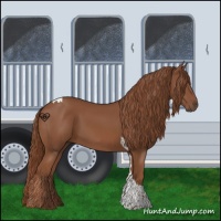 Horse Color:Chestnut Tobiano