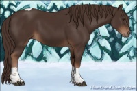 Horse Color:Liver Chestnut Tobiano