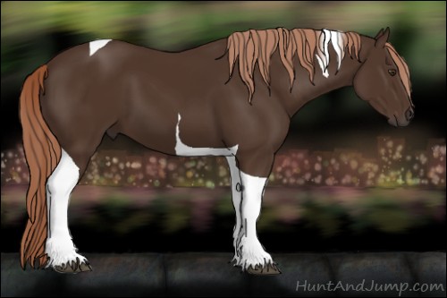 Horse Color:Liver Chestnut Tobiano 