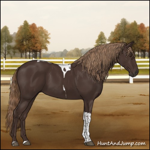 Horse Color:Liver Chestnut Tobiano 