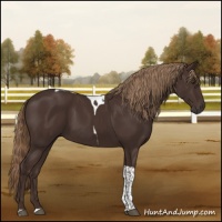 Horse Color:Liver Chestnut Tobiano 