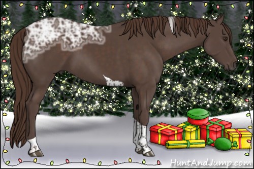 Horse Color:Liver Chestnut Ice Tobiano