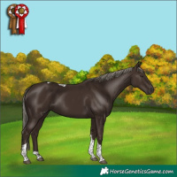 Horse Color:Liver Chestnut Mushroom Tobiano 