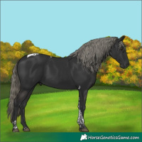 Horse Color:Liver Chestnut Mushroom Tobiano 