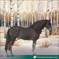 Horse Color:Platinum Liver Chestnut Tobiano 