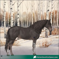 Horse Color:Platinum Liver Chestnut Tobiano 