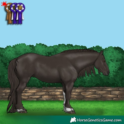 Horse Color:Liver Chestnut Tobiano 