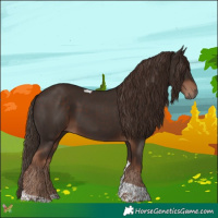 Horse Color:Liver Chestnut Tobiano 