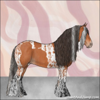 Horse Color:Bay  and Bay Tobiano 