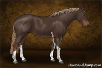 Horse Color:Liver Chestnut Tobiano 