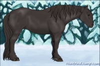Horse Color:Smoky Black  and Smoky Black 
