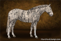 Horse Color:Smoky Black  and Smoky Creme 