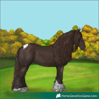 Horse Color:Liver Chestnut Tobiano 