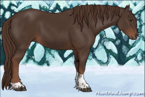 Horse Color:Liver Chestnut Tobiano 
