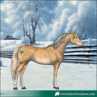 Horse Color:Palomino Dun Brindle 