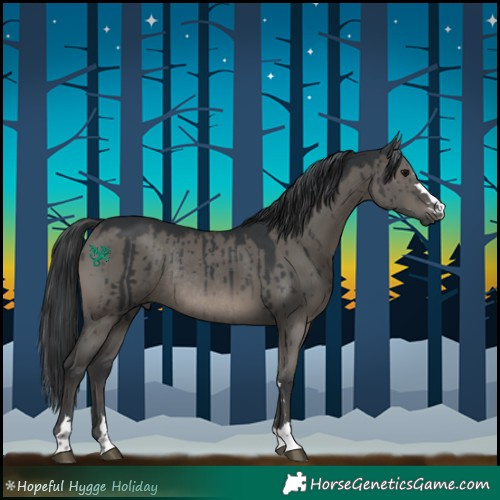 Horse Color:Grullo Rabicano Brindle 