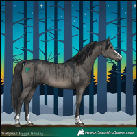 Horse Color:Grullo Rabicano Brindle 