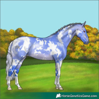 Horse Color:Watercolor White Spotted Silver Buckskin Chinchilla Dun 