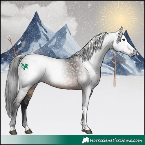 Horse Color:Gray White Spotted Brown Tobiano 