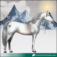Horse Color:Gray White Spotted Brown Tobiano 