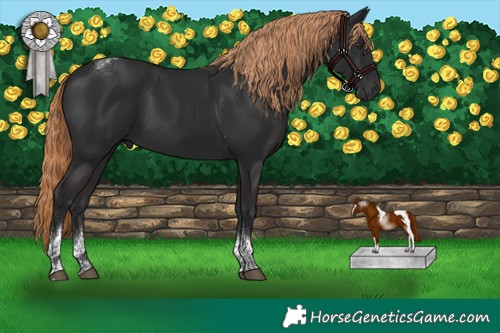 Horse Color:Liver Chestnut Tobiano 