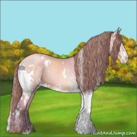 Horse Color:Watercolor White Spotted Buckskin Pearl 