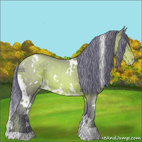 Horse Color:Watercolor White Spotted Brown Pearl Rabicano 