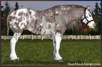 Horse Color:Liver Chestnut Sabino Splash Tobiano Blanket  and Liver Red Roan Sabino Splash Blanket Rabicano 