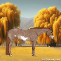 Horse Color:Red Roan Frame Varnish 