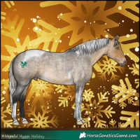 Horse Color:Silver Buckskin Roan Tobiano 