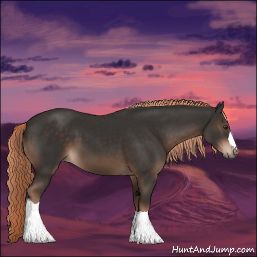 Horse Color:Liver Chestnut 