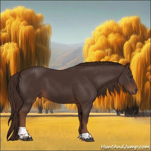 Horse Color:Liver Chestnut Tobiano 
