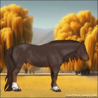 Horse Color:Liver Chestnut Tobiano 