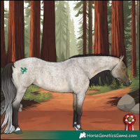 Horse Color:Buckskin Roan Dun 